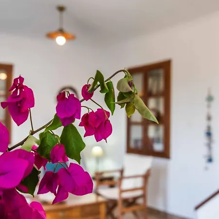 Renas Cycladic House Σπίτι διακοπών